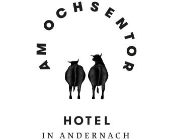 Hotel Am Ochsentor
