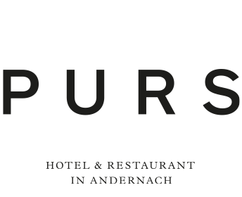 Hotel PURS Andernach